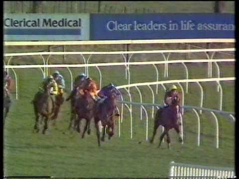 1987 Hennessy Cognac Gold Cup Handicap Chase