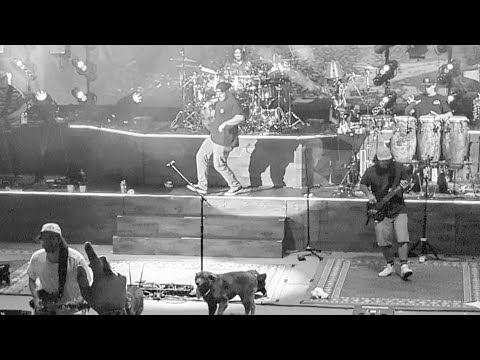 TJ O'Neil - Crip Walks to Weight Of Sound, Red Rocks 2024