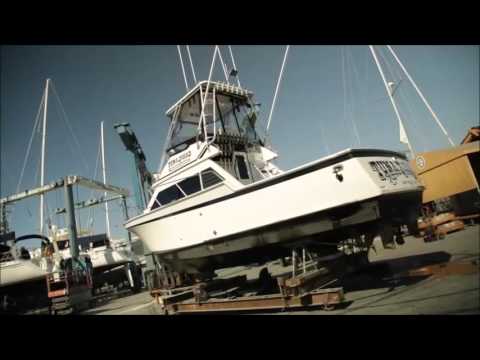 Ocean LED Underwater Lights