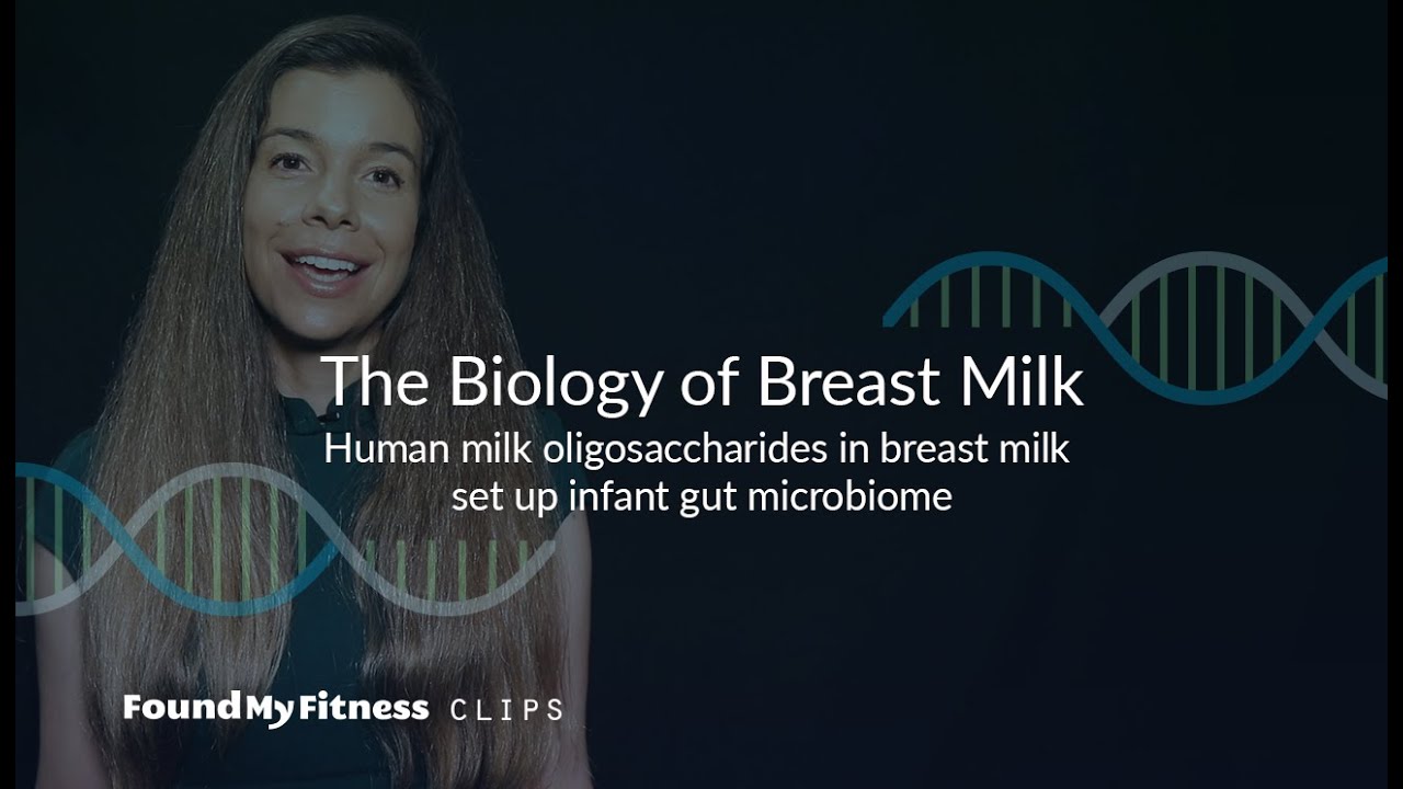 Human milk oligosaccharides in breast milk act as "decoys" to protect infant from gut infections | Biology of Breast Milk