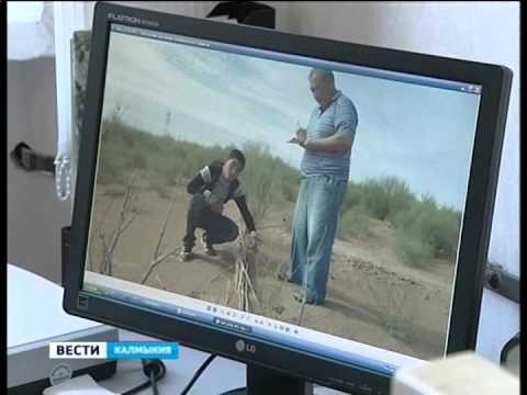 Вести «Калмыкия»: выпуск 16.07.2014 на калмыцком языке