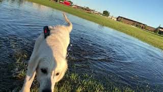 Ponds from Flooded Sewahs Kehd v2