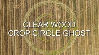 Clear Wood, Житен кръг–призрак, 2019