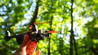 SUMMER IS SHORT - GO FLY