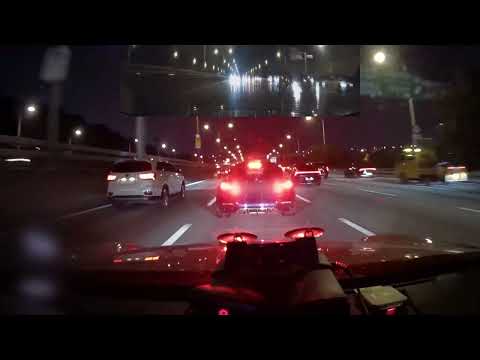 The korean swim team