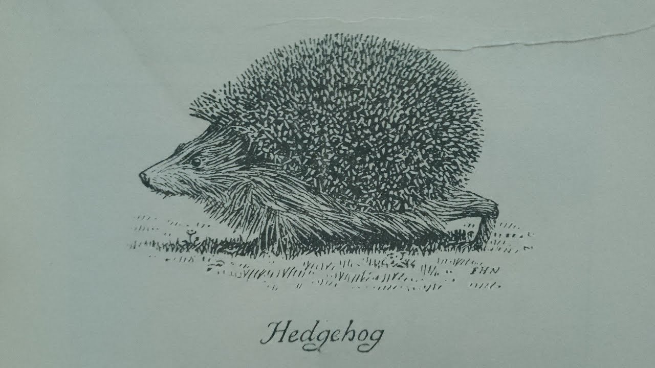 Hours in My Library: 