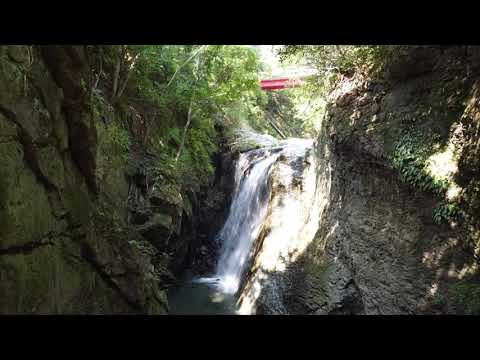 子ノ神の滝／ジオパーク秩父　Nenokami Fall / Chichibu Geopark