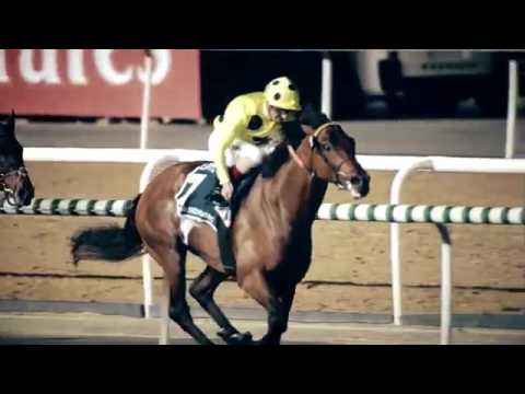 DWC 2016 Promo Video