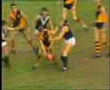 VFL Football State Of Origin 1985 - WA v VIC