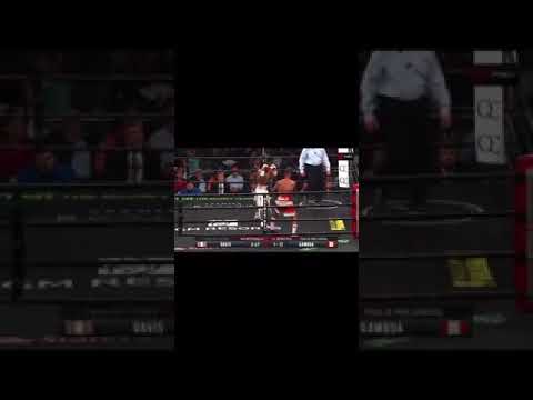 Gervonta Davis and Gamboa Highlights