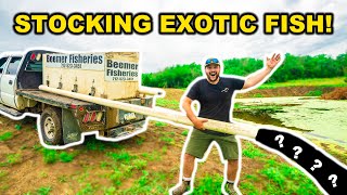 Stocking EXOTIC Fish in 10 Acre Abandoned RANCH LAKE!!!