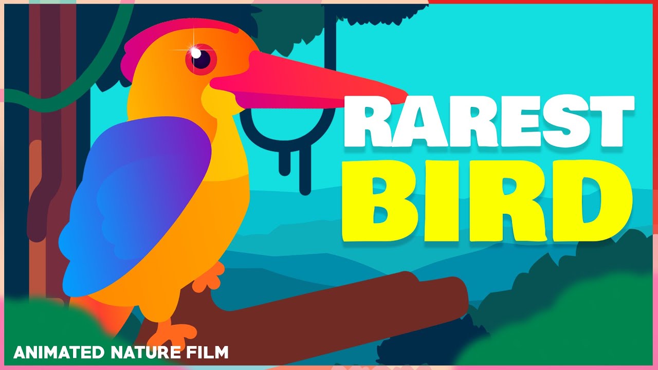Rarest Birds in the World You Won’t Believe Still Exists! 🐦