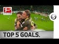 Torsten Frings - Top 5 Goals