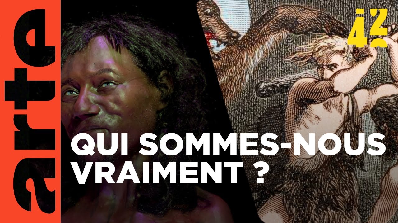 Qui sont nos véritables ancêtres ? | 42 - La réponse à presque tout | ARTE