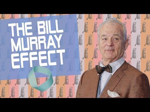 Join the Cult of Bill Murray?