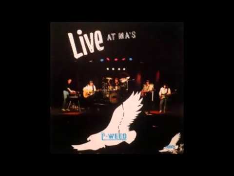 C - weed band - comfortably numb - Live