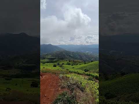 patia cauca