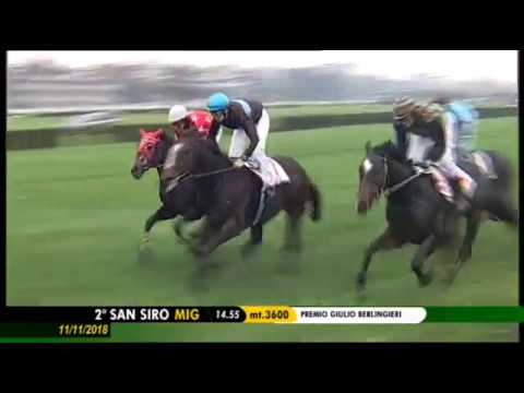 2018.11.11 Premio Giulio Berlingieri (ITA) - Mensch