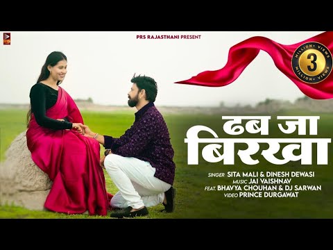 New Rajasthani Song 2024 | ढब जा बिरखा | Dinesh Dewasi | Sita mali | New Marwadi Song 2024