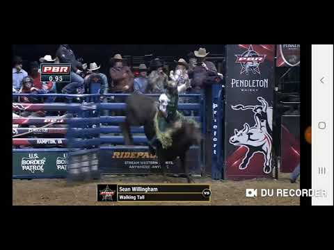 6X4 Walking Tall (Davis Rodeo Ranch)