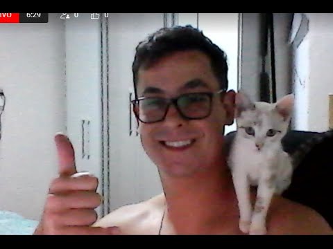 ESTUDE COMIGO - DELTA PCRS- PCSC- PCPR- PF