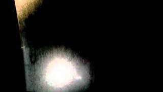 sleeping androids dream of electric sheep