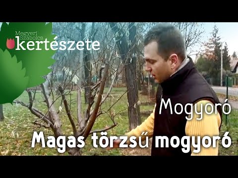 Pénisz az első alkalom után, Az első szeretkezés