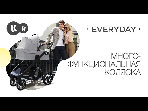 Универсальная коляска 2 в 1 Kinderkraft Everyday Bird (KSEVER00BIR2000)