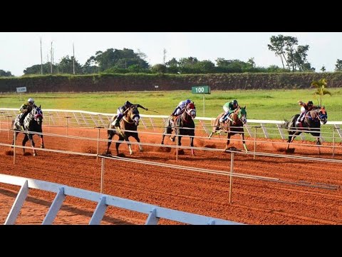Resenha da Grande Final do GP Campeão dos Campeões