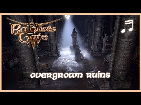 BALDURS GATE 3 Dank Crypt Music | Overgrown Ruins | Unofficial Soundtrack