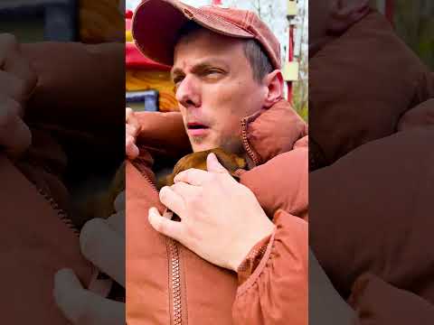 ВАНЯ И ЭЛИ НЕ МОГУТ СКРЫТЬСЯ ОТ ЗОМБИ😲😲😲