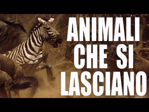 Bere in un sogno del fratello morto I danni principali hanno smesso di bere