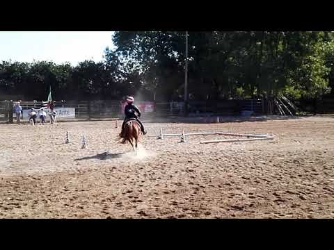 Matteo Cavaliere - Gimkana Reining - San Gillio (TO) 17 Settembre 2017