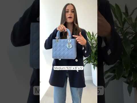 Comparing Lady Dior Sizes