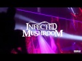 Infected Mushroom & HaYehudim - Don't Like ...