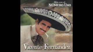 - NOS ESTORBO LA ROPA - VICENTE FERNANDEZ (FULL AUDIO)