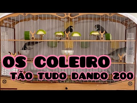 SUBMISSION DOES THIS? 😳😱 NOW I WANT IT TOO 🤷‍♂️🤣