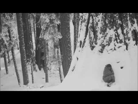 Wildfire - Michael Martin Murphey {HD}