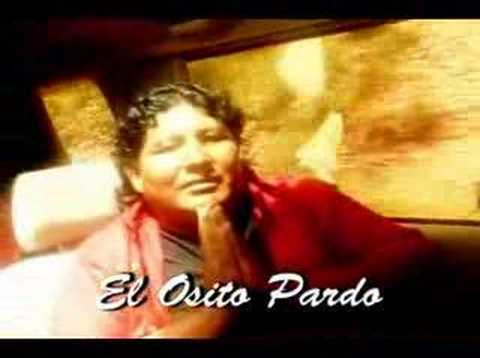WILLIAMS ENRIQUE CH. "EL OSITO PARDO" - AMOR INMORTAL (VIDEO CLIP VOL. 08)