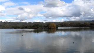 Faerie Queen-Blackmore&#39;s Night