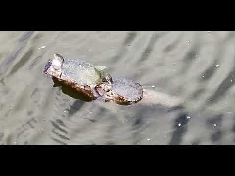 El Santo -Villa Clara-Cuba.