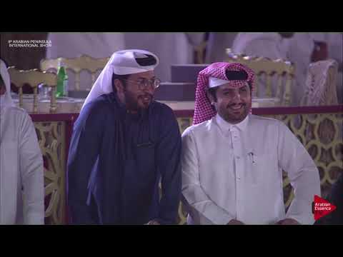 N.50 HILALYA AL NASSER - 2019 Qatar Int. Peninsula show - Fillies 2 years old (Class 2B)