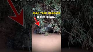 Download lagu Apakah Ini Beneran Ular Yang Menjadi Batu? mp3 Download lagu Apakah Ini Beneran Ular Yang Menjadi Batu? mp3