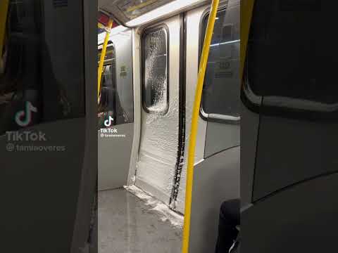 Skytrain in the snow #shorts #shortscomedy #snow #vancouver #canada #trending #winter #comedy #funny