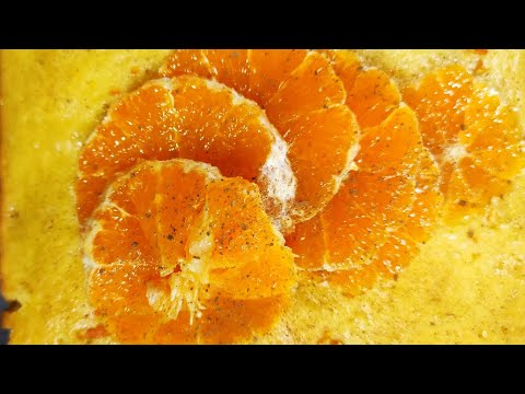 orange cake/recipes and tips by Arzoo