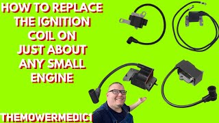 BRIGGS AND STRATTON ENGINE REPAIR   how to replace the ignition module on most 4 and 2cycle engines