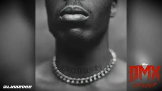 DMX / Styles P - Still Scratching / EXODUS BONUS 🕊🙏