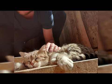 08 |s2s| Tajikistan - 2 - PAMIR [KTM 790 Adventure R]