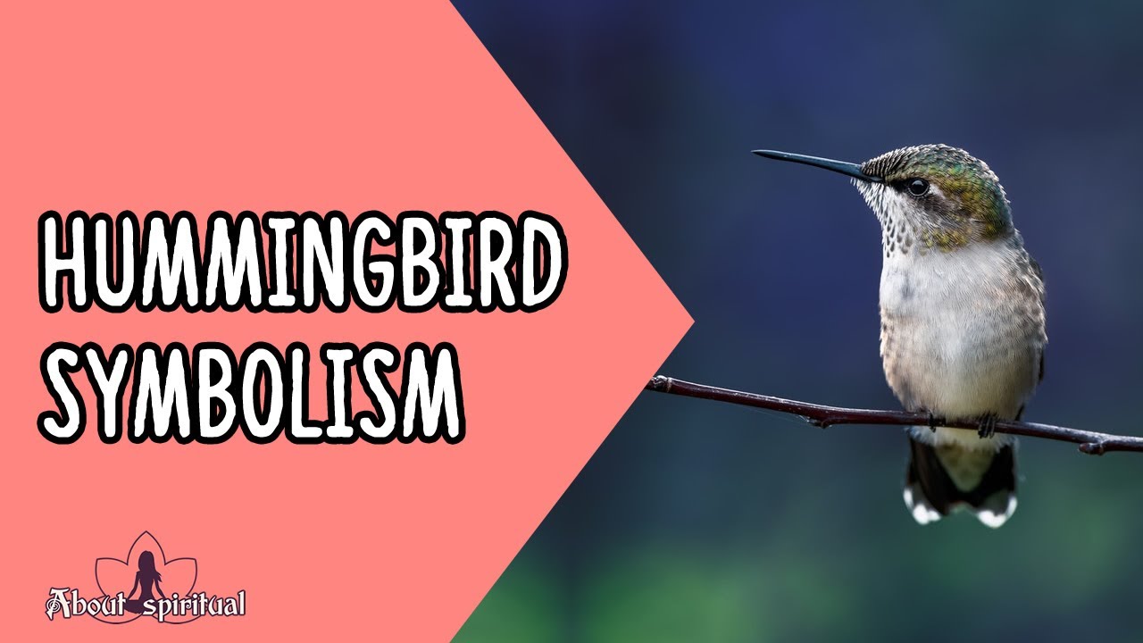 What does a hummingbird symbolize in Native American?