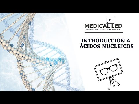 NUCLEIC ACIDS 1: Nucleotide structure and introduction to DNA and RNA
